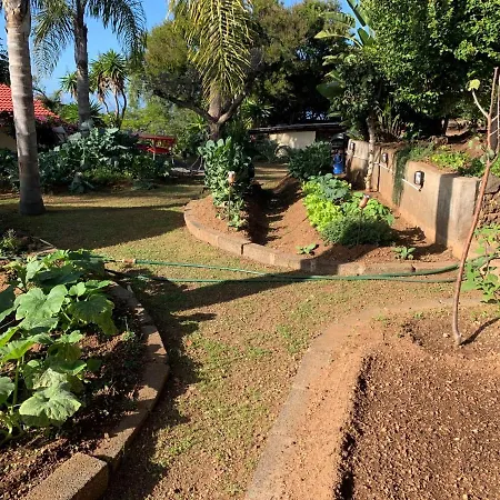 Ferienwohnung Finca Monica Hotel La Matanza De Acentejo