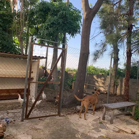 Hotel Ferienwohnung Finca Monica La Matanza De Acentejo