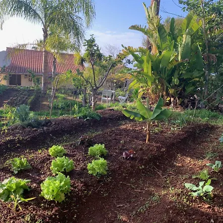 Ferienwohnung Finca Monica *